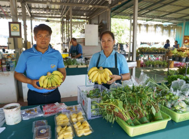 นางปฐมพร สุทธนากร สหกรณ์จังหวัดสิงห์บุรี ... พารามิเตอร์รูปภาพ 2