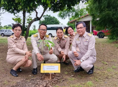 นางปฐมพร สุทธนากร สหกรณ์จังหวัดสิงห์บุรี ... พารามิเตอร์รูปภาพ 1