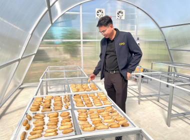 นายสุทธิศักดิ์ โภคาพานิช สหกรณ์จังหวัดสิงห์บุรี ... พารามิเตอร์รูปภาพ 8