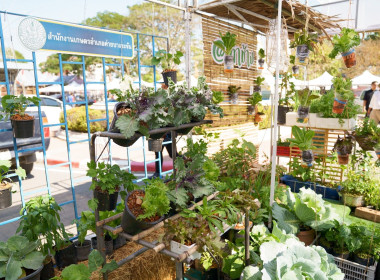 นายสุทธิศักดิ์ โภคาพานิช สหกรณ์จังหวัดสิงห์บุรี ... พารามิเตอร์รูปภาพ 5