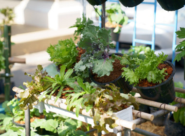 นายสุทธิศักดิ์ โภคาพานิช สหกรณ์จังหวัดสิงห์บุรี ... พารามิเตอร์รูปภาพ 4