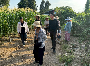 นายสุทธิศักดิ์ โภคาพานิช สหกรณ์จังหวัดสิงห์บุรี ... พารามิเตอร์รูปภาพ 3