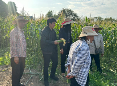 นายสุทธิศักดิ์ โภคาพานิช สหกรณ์จังหวัดสิงห์บุรี ... พารามิเตอร์รูปภาพ 4