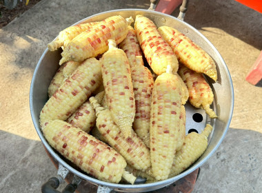 นายสุทธิศักดิ์ โภคาพานิช สหกรณ์จังหวัดสิงห์บุรี ... พารามิเตอร์รูปภาพ 7