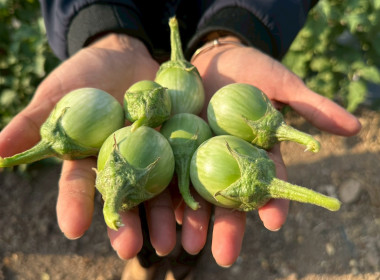 นายสุทธิศักดิ์ โภคาพานิช สหกรณ์จังหวัดสิงห์บุรี ... พารามิเตอร์รูปภาพ 9