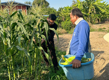 นายสุทธิศักดิ์ โภคาพานิช สหกรณ์จังหวัดสิงห์บุรี ... พารามิเตอร์รูปภาพ 2